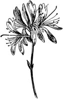 PLF019F.TIF