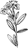 PLF019A.TIF