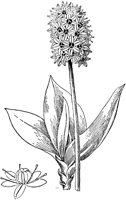 PLF018C.TIF