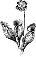 PLF018B.TIF