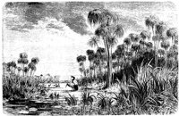 PLF017E.TIF