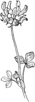 PLF016F.TIF