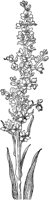 PLF016C.TIF