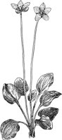 PLF016B.TIF