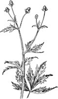 PLF015E.TIF