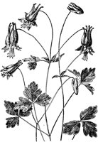 PLF014E.TIF
