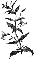 PLF014D.TIF
