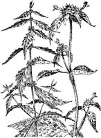 PLF013E.TIF