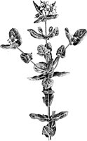 PLF013A.TIF