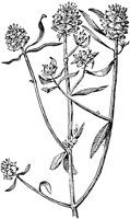 PLF012F.TIF