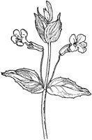 PLF012E.TIF