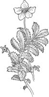 PLF012D.TIF