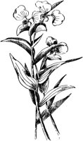 PLF012C.TIF