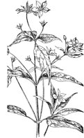 PLF012A.TIF
