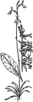 PLF011C.TIF
