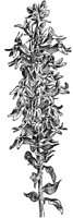 PLF011B.TIF