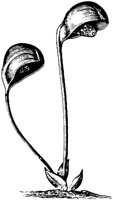 PLF008F.TIF