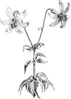 PLF008E.TIF