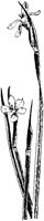 PLF008D.TIF