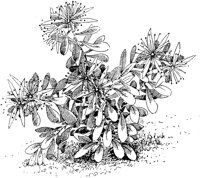 PLF006C.TIF