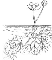 PLF004E.TIF