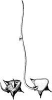 PLF004D.TIF