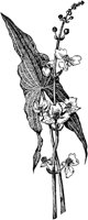 PLF004C.TIF