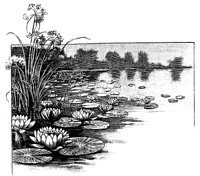 PLF002F.TIF