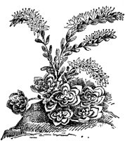 PLF002D.TIF