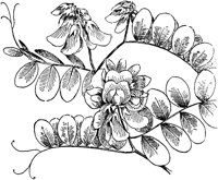 PLF002C.TIF
