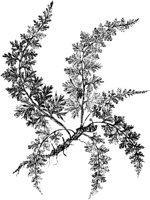 PLF130C.TIF