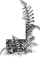 PLF128D.TIF
