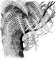 PLF128A.TIF