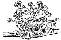 PLF127A.TIF