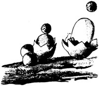 PLF126F.TIF
