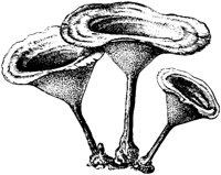 PLF124J.TIF