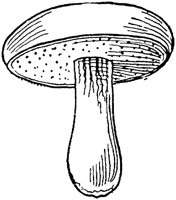 PLF124E.TIF
