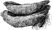 PLF124C.TIF