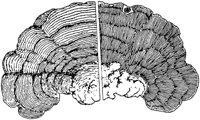 PLF124A.TIF