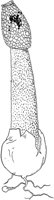 PLF123D.TIF