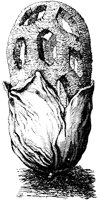 PLF122F.TIF