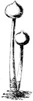 PLF122D.TIF