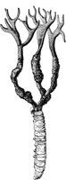 PLF121B.TIF