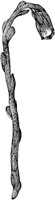PLF112F.TIF