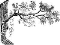 PLF112A.TIF