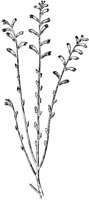 PLF110D.TIF
