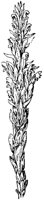 PLF110C.TIF