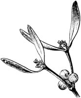 PLF109C.TIF