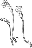 PLF109B.TIF