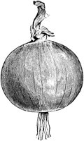 PLF108J.TIF